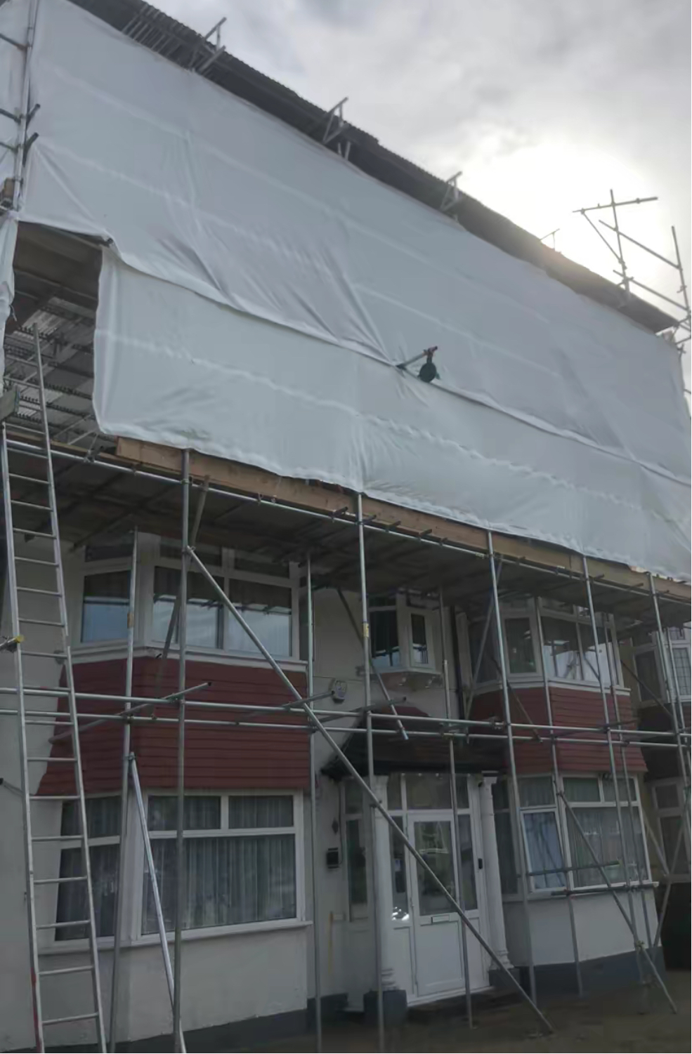 Scaffolding Project 4